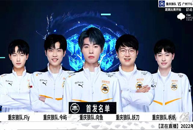 职业生涯中