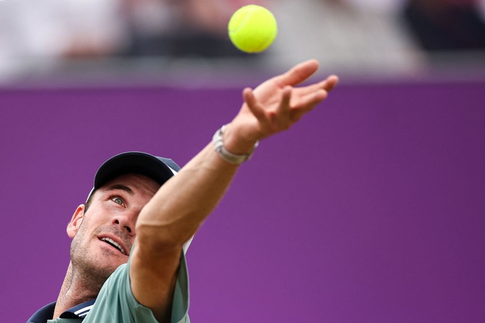 案例对比 案例对比